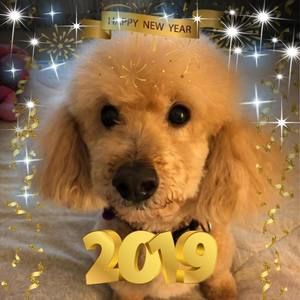 Meet your Posher, Carla